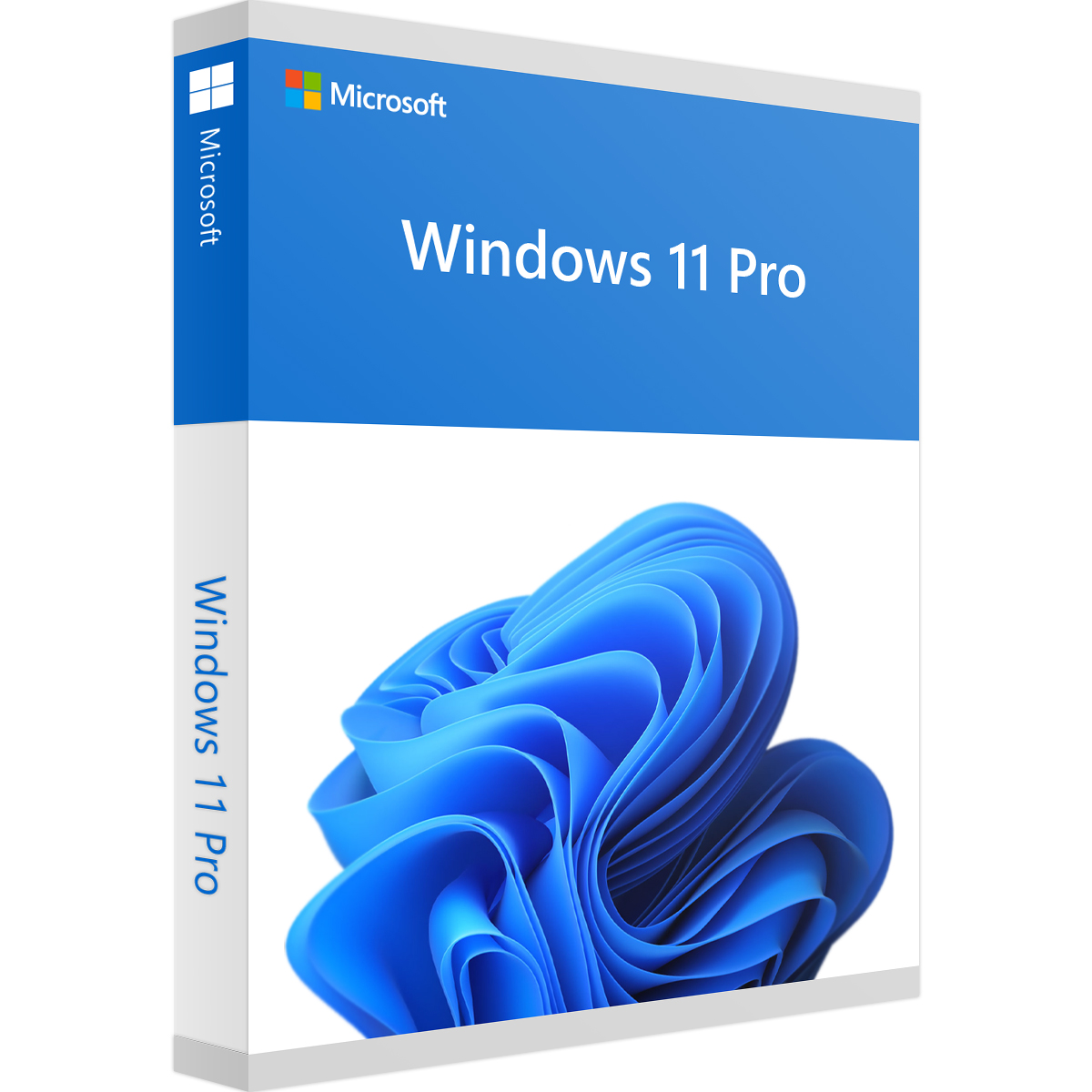 Microsoft Windows 11 Professionnel